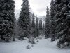 img_3252