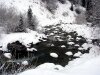 img_3289
