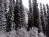 img_3328