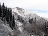 img_3331