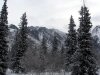 img_3355