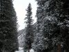 img_3369