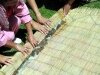 img-061