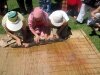 img-066