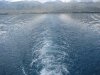 wake