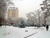 dscf0019