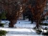 img_1904