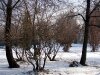 img_1905
