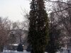 img_1909