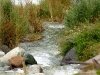 the-river-2-600