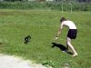 befriending-a-puppy-600