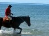 riding-through-the-surf-2-600