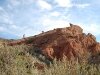 dsc_4589-58-680x452