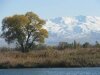 Kyrgyz Ala Too