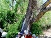 600dsc03790