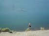 sam_2602