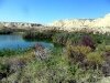sam_2619