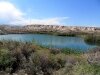 sam_2620