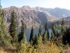 0080-sary-chelek
