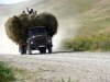 0091-hay-truck