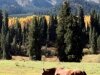 0165-lv-img_2325