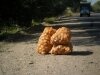 195a-potatoes-on-sale-in-kochkor