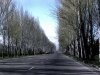 263-the-road-to-kochkor