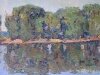 willows