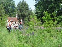 IMG_2216-200