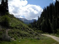Road-to-Juka-gorge_200