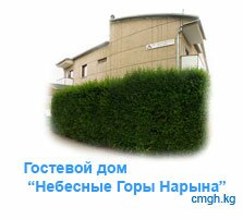 cmgh
