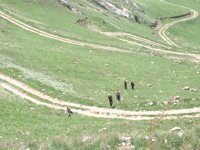 single file