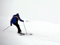 skier