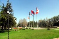 flags
