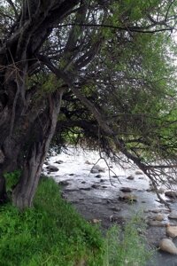 SAM_1658