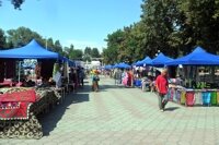oimo stalls