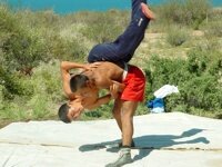 wrestling 3