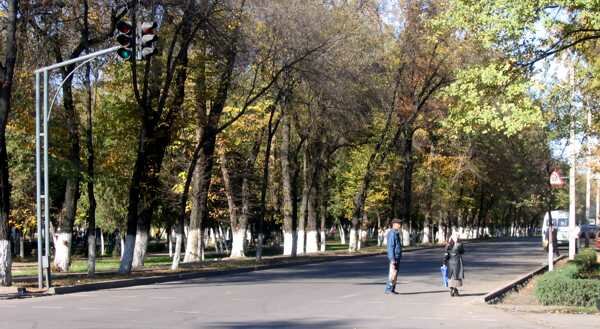 molodaya gvardia