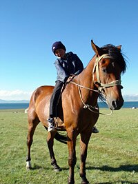 horseback