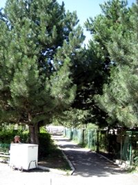 aug'08 133