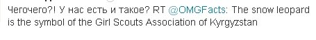 tweet