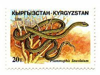 snake stamp