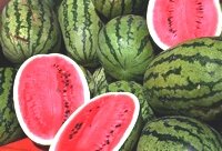 melon