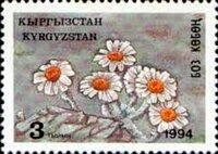 chrysanthamum stamp