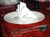 napkin