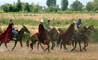 nomads