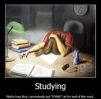 studying