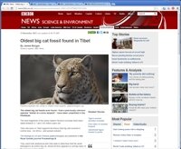 The news report