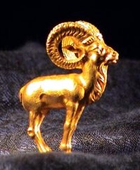 The Bactrian Argali