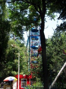 The Ferris Wheel